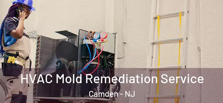  HVAC Mold Remediation Service Camden - NJ