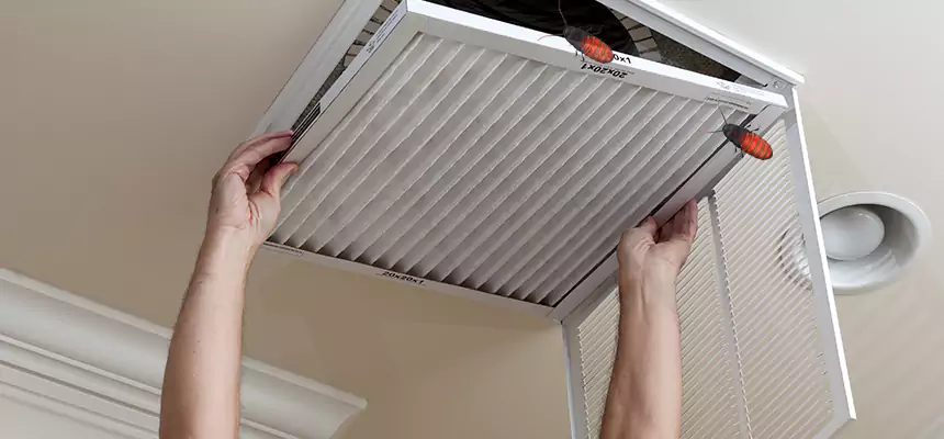 Preventive Cockroach-Proofing for Ducts in Camden