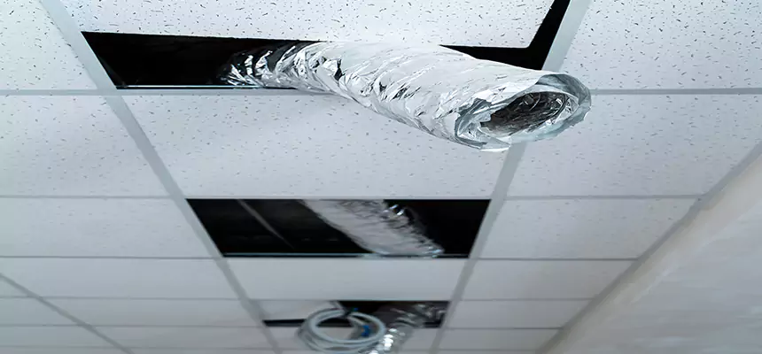 Affordable HVAC Sanitizing After Pest Removal in Camden