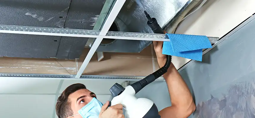 Our Air Duct Rodent Removal Services in Camden, NJ