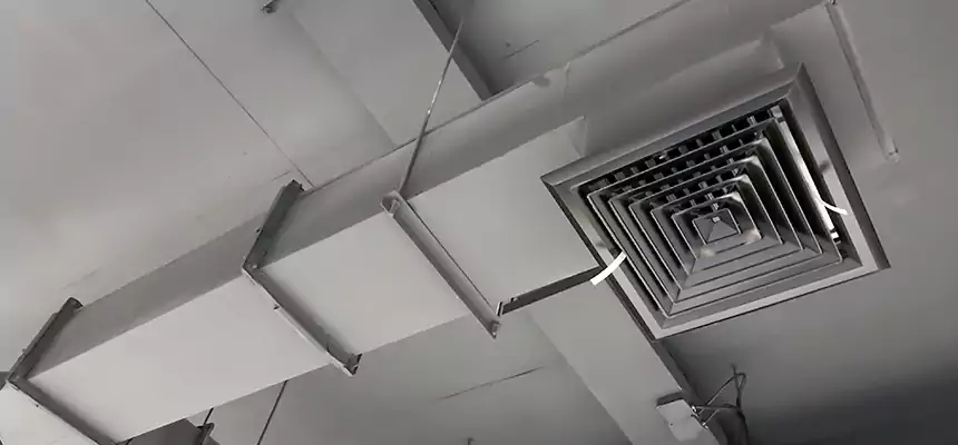 Our Rodent Droppings In Vents Services in Camden, NJ