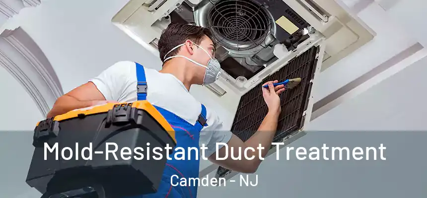  Mold-Resistant Duct Treatment Camden - NJ