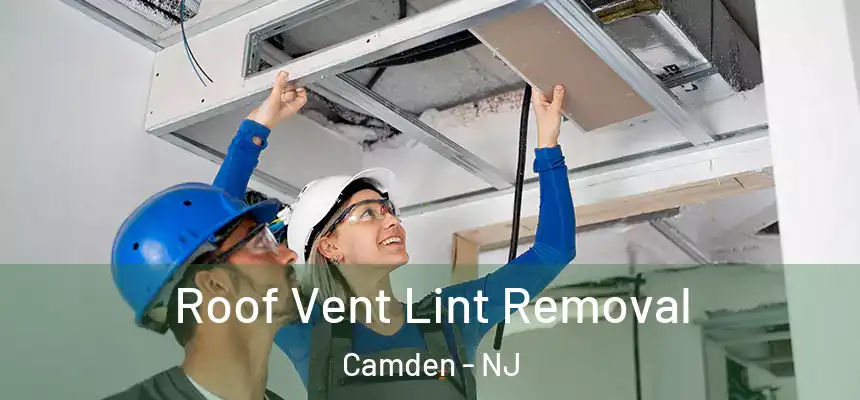  Roof Vent Lint Removal Camden - NJ