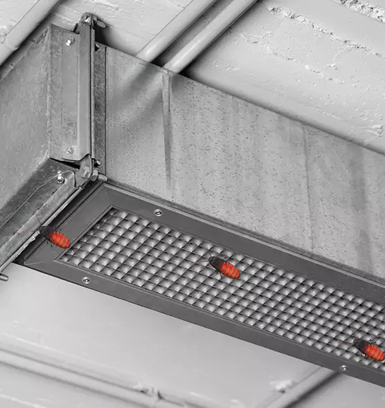 About Air Duct Cockroach Removal in Camden, NJ