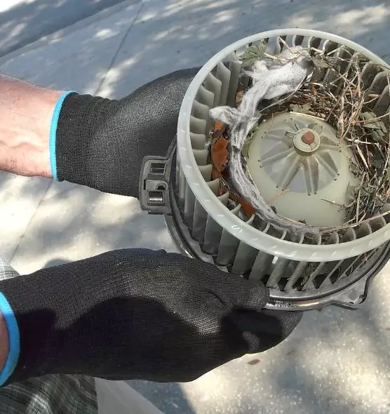 About Air Duct Mice Removal in Camden, NJ