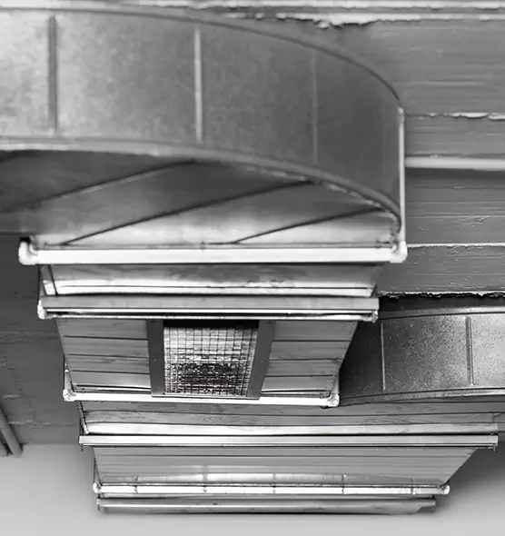 Professional Air Duct Pest Removal in Camden, NJ