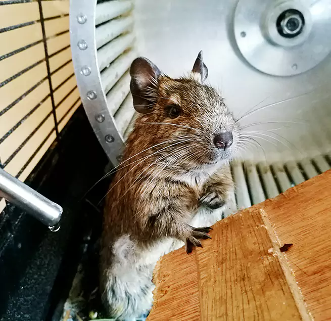 Why Homeowners & Businesses Trust Us Camden, NJ