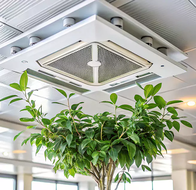 Why Homeowners & Businesses Trust Us in Camden, NJ?