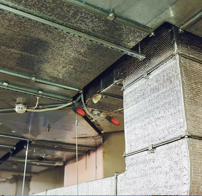 Why Homeowners & Businesses Trust Us Camden, NJ?